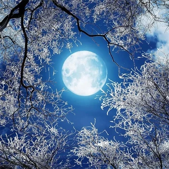 Крупномасштабная фреска wellyu на заказ HD круглая луна лес снежная сцена небо ночное небо ночной потолок фоновые обои